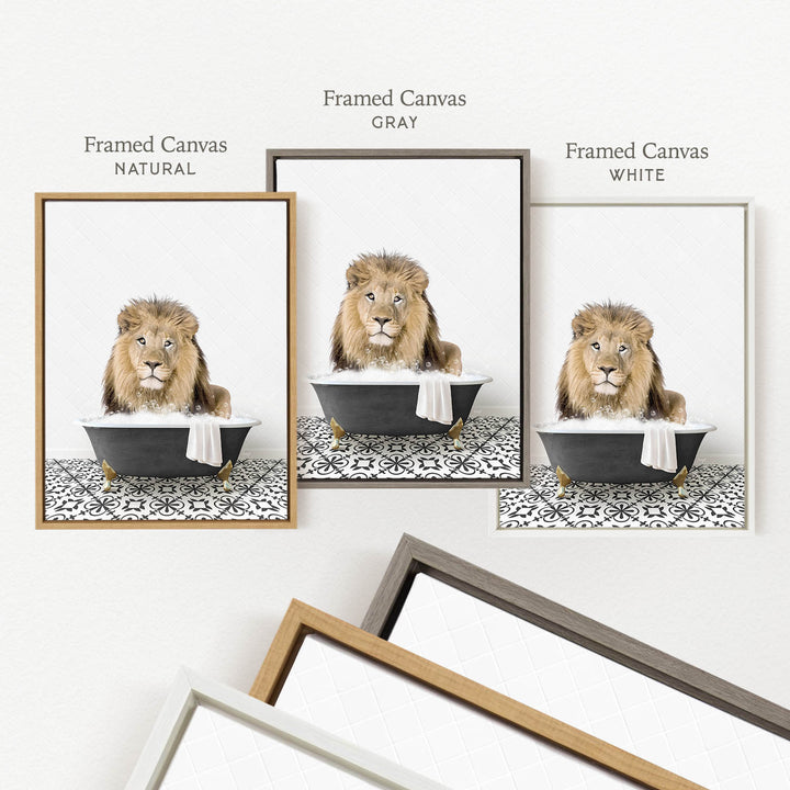 a framed picture of a lion sitting in a bathtub, with three different colored frames labeled " Framed Canvas Natural", " Framed Canvas Gray", and " Framed Canvas White".
