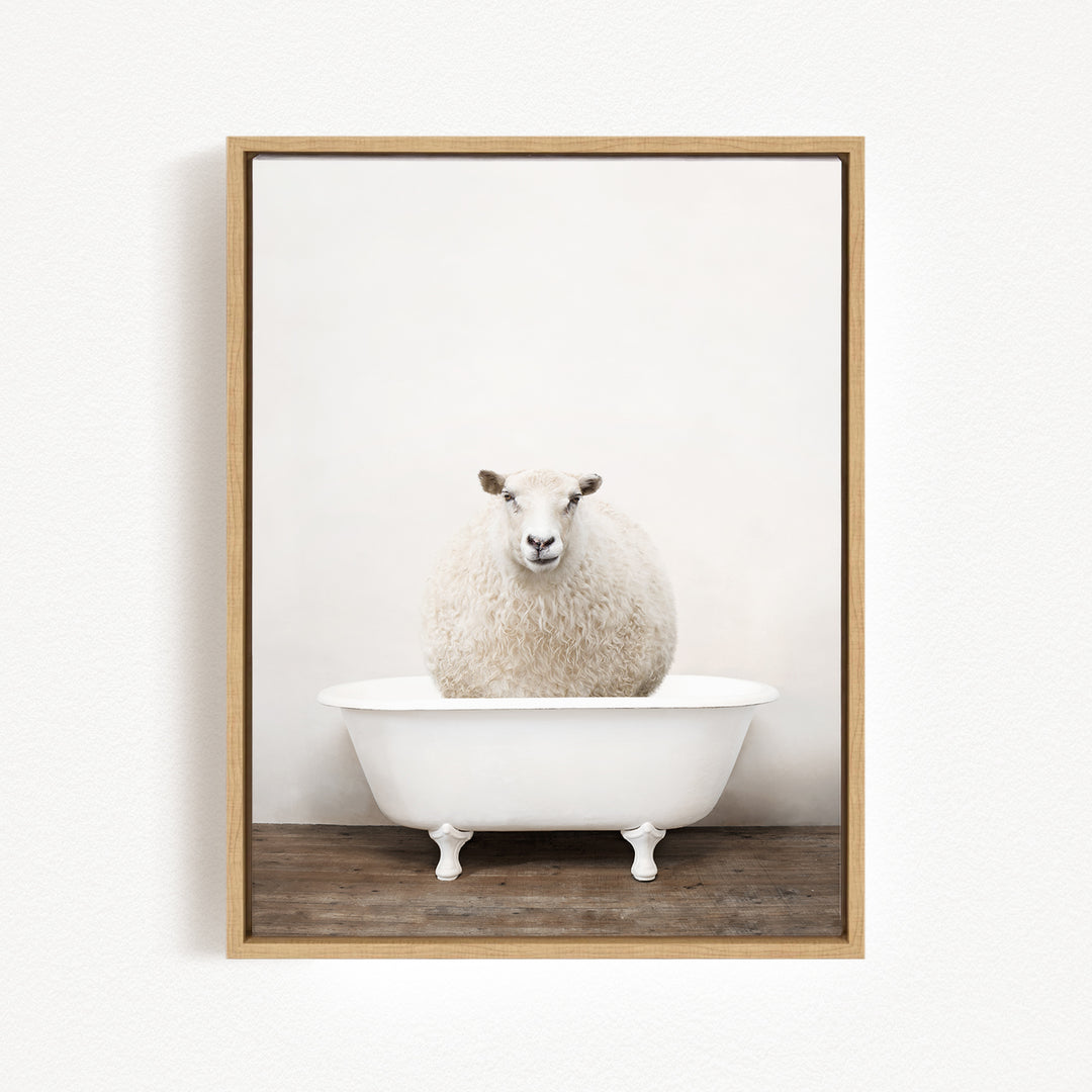 A fluffy white sheep sits in a white bathtub against a plain white wall.