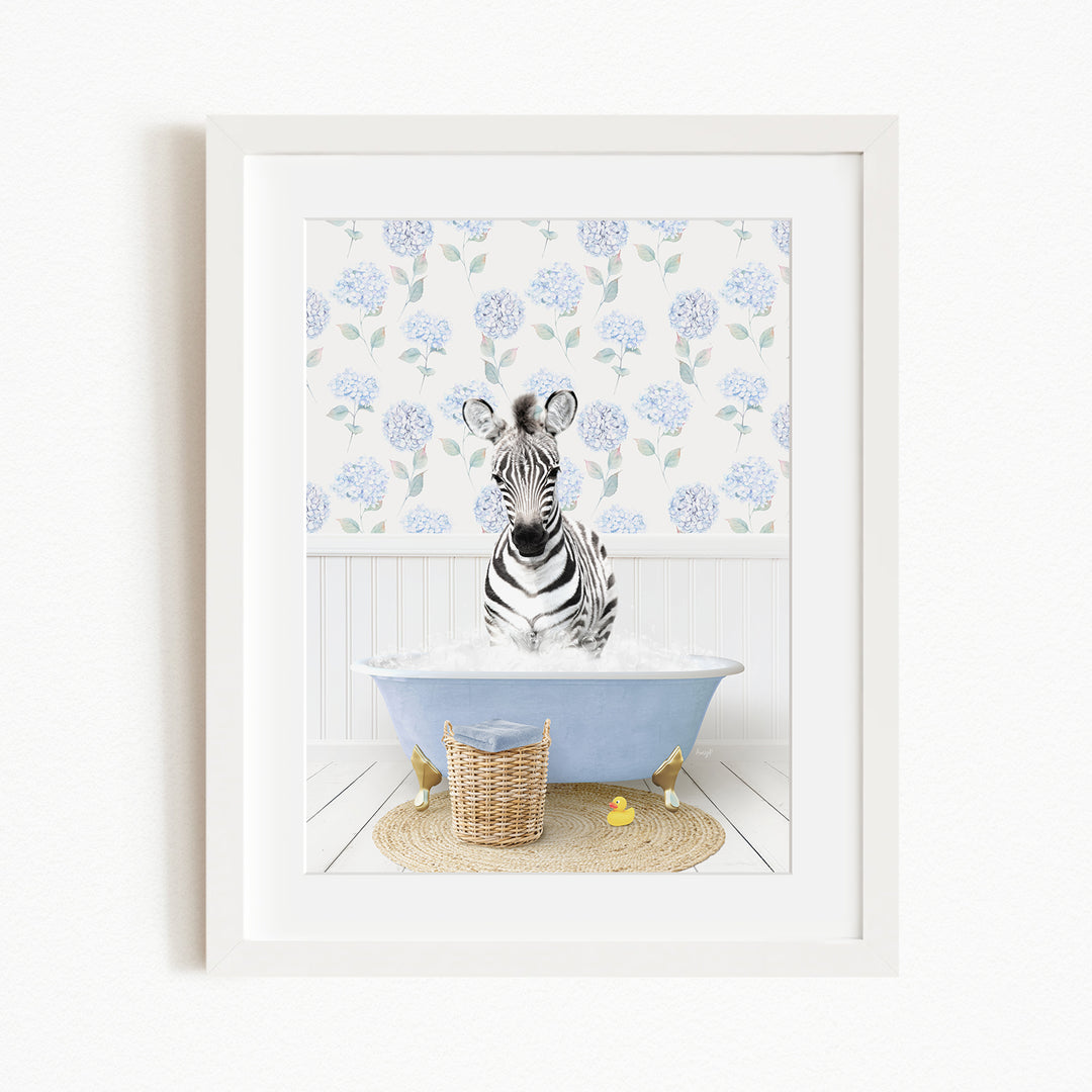 A zebra sitting in a blue bathtub filled with water, surrounded by a floral patterned wall and a basket of rubber ducks.
