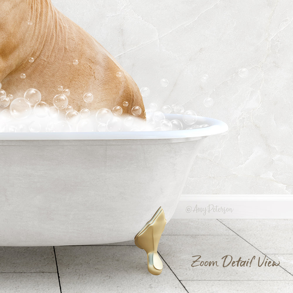 A close-up of a dog standing in a bathtub filled with bubbles, with a white marble wall in the background.