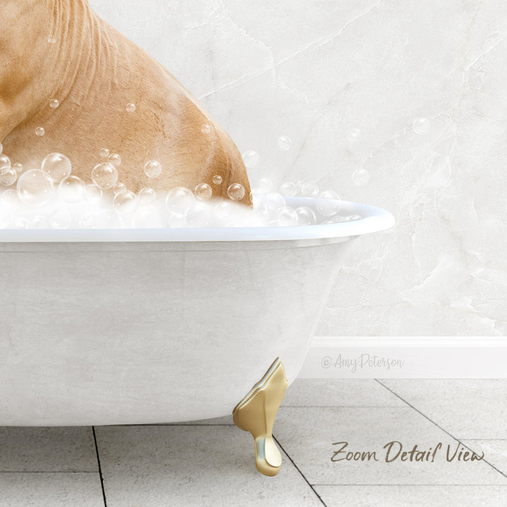 A close-up of a dog standing in a bathtub filled with bubbles, with a white marble wall in the background.