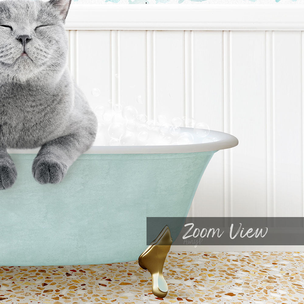 A gray cat sitting in a light blue bathtub filled with bubbles, with a gold faucet and text overlay indicating a "Zoom View" perspective.