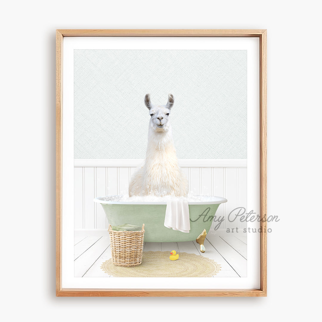 a picture of a llama in a bathtub