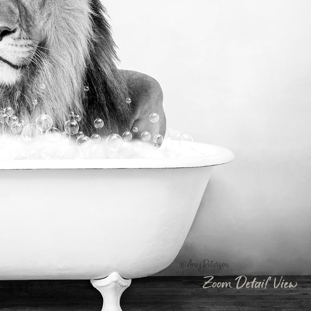 A black and white image of a lion sitting in a bathtub filled with bubbles.