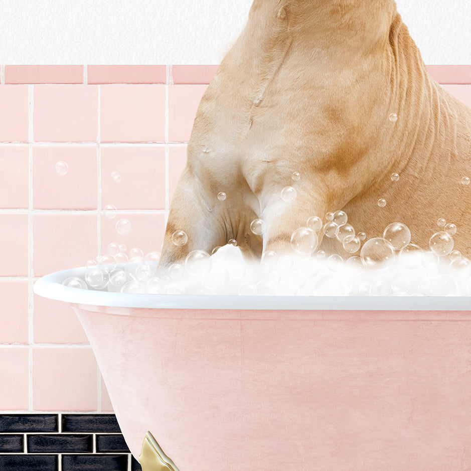 a dog sitting in a bathtub full of bubbles