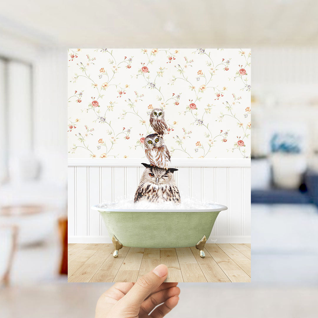 A hand holds up a framed image depicting three owls sitting in a green bathtub, with a floral wallpaper in the background.