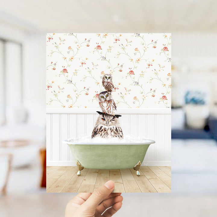 A hand holds up a framed image depicting three owls sitting in a green bathtub, with a floral wallpaper in the background.