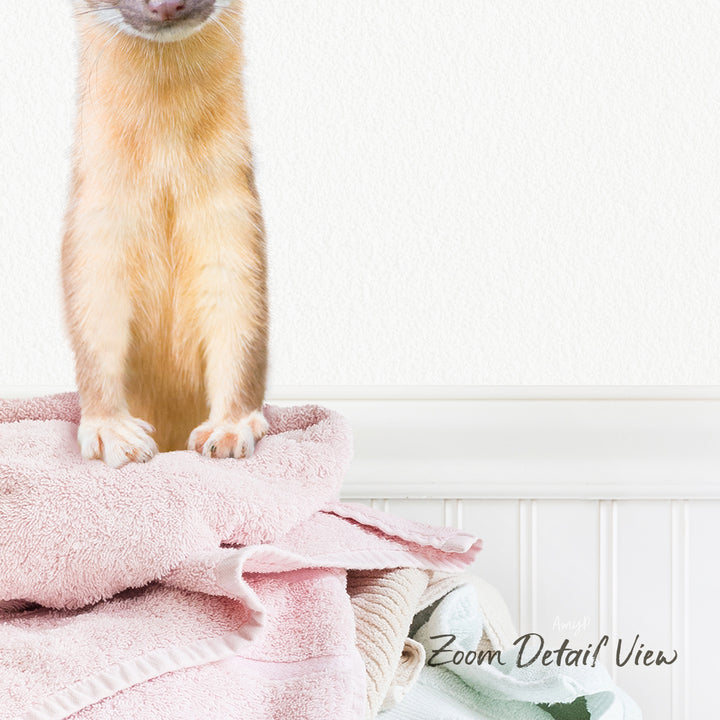 A close-up image of a cat sitting on a pink towel, with a white wall and a towel rack in the background.