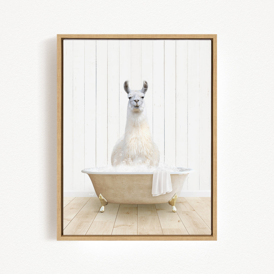 A white llama sitting in a white bathtub filled with water, with a towel hanging on the side of the tub.