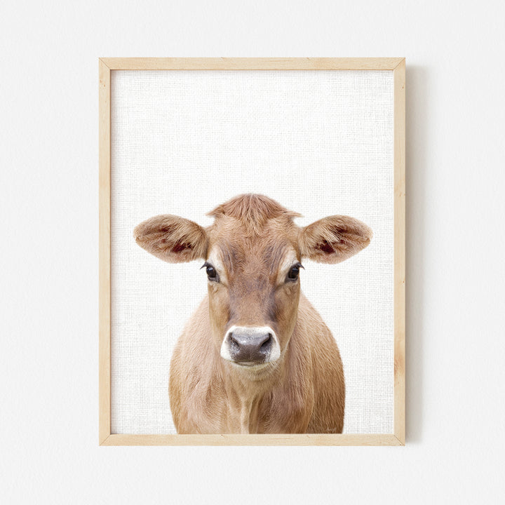 a picture of a brown cow with a white background