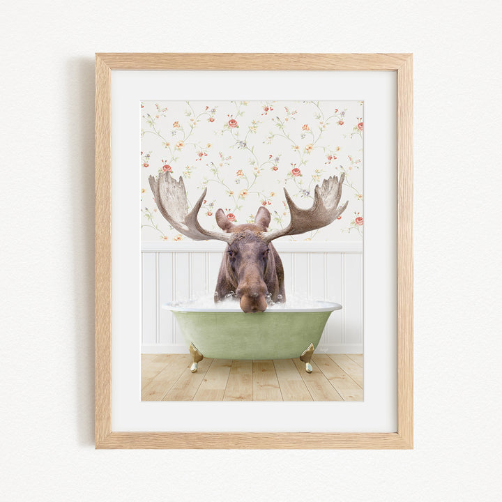 A moose with large antlers is sitting in a green bathtub, surrounded by a floral wallpaper.