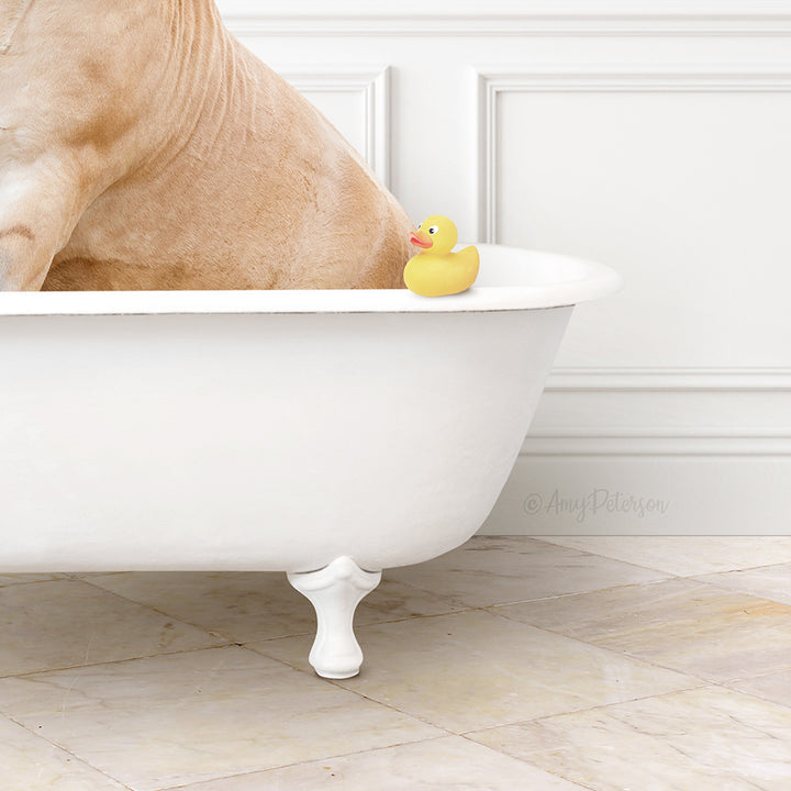 A tan dog is sitting in a white bathtub, with a yellow rubber duck perched on the edge of the tub.