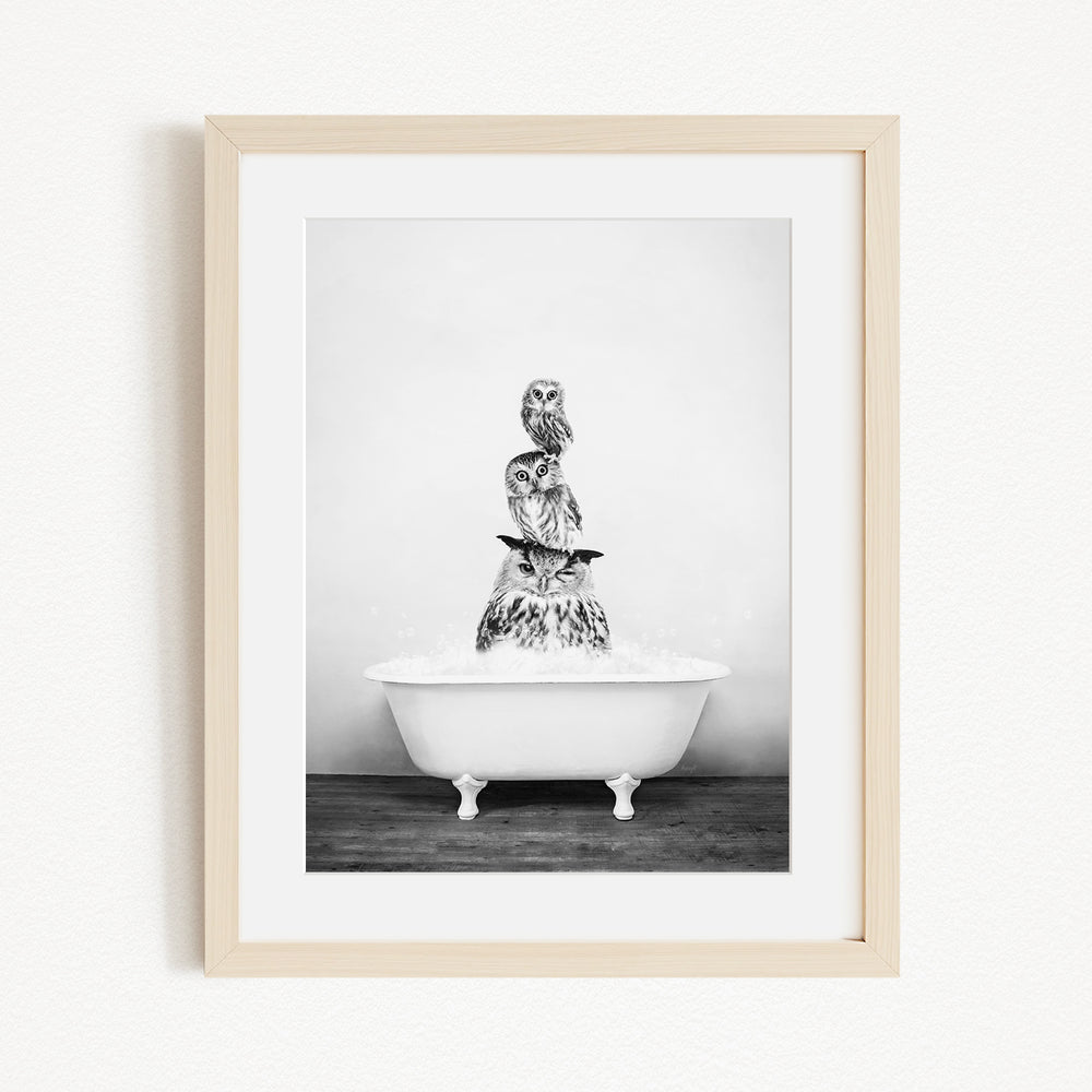 A framed black and white image depicting a group of cats sitting on top of a white bathtub, with one cat sitting on top of another cat, creating a stacked pyramid-like structure.