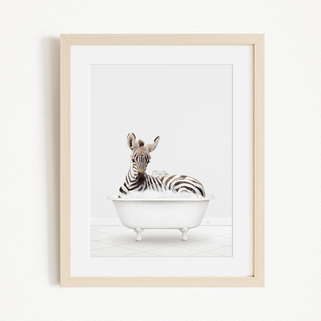 A zebra is sitting in a white bathtub, surrounded by a white background.