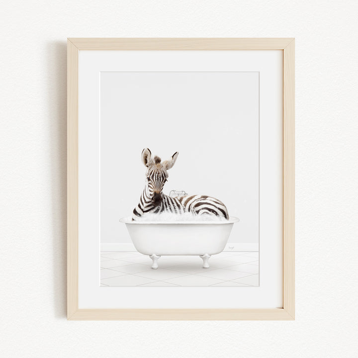 A zebra is sitting in a white bathtub, surrounded by a white background.