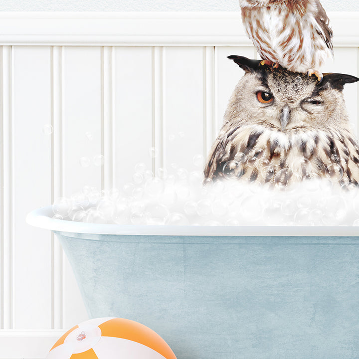 an owl sitting on top of a bath tub filled with foam