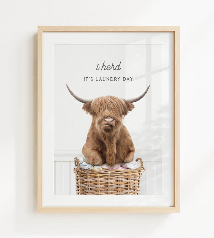 A framed image of a Highland cow sitting in a wicker basket, with the text "It's laundry day" above it.