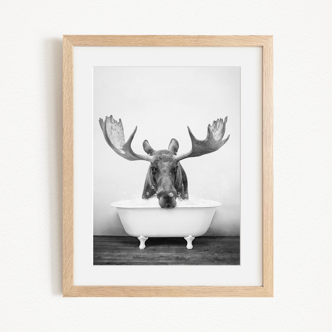 A black and white photograph of a moose with large antlers sitting in a bathtub.