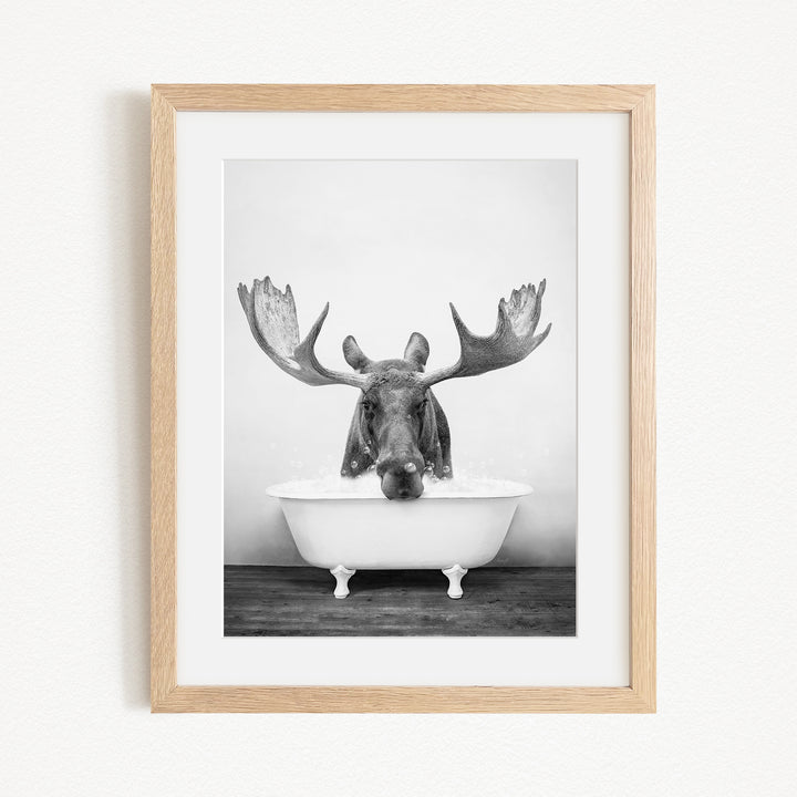 A black and white photograph of a moose with large antlers sitting in a bathtub.