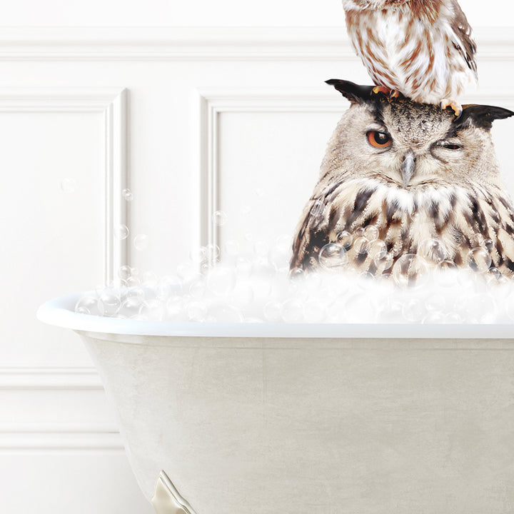 an owl sitting on top of a bathtub filled with bubbles