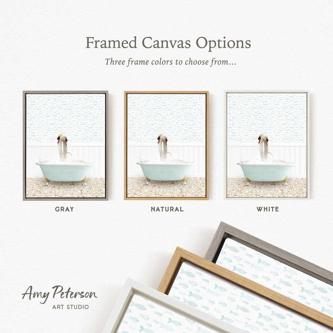 three framed canvas options, each featuring a different color: gray, natural, and white. The text above the images reads " Framed Canvas Options" and "Three frame colors to choose from...". The bottom of the image includes the text " Amy Peterson ART STUDIO".