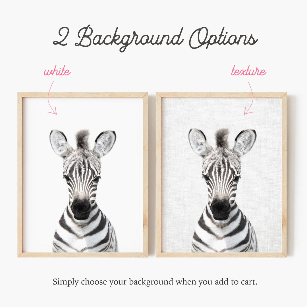 a picture of a zebra's head with the words background options below it