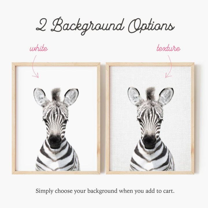 a picture of a zebra's head with the words background options below it