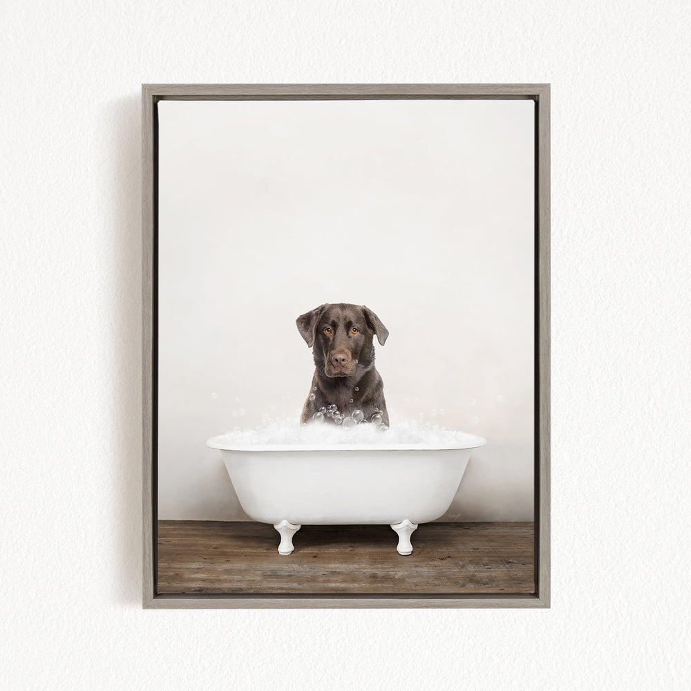 A brown dog sitting in a white bathtub filled with water, looking directly at the camera.