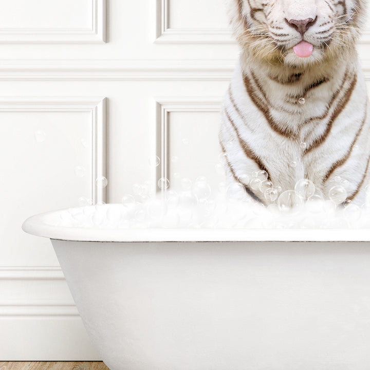 a white tiger sitting inside of a bath tub