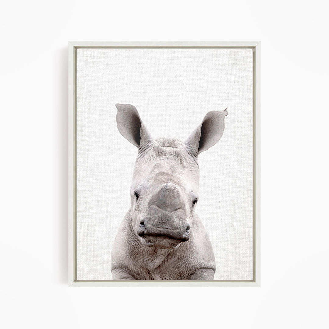 A close-up portrait of a rhinoceros, with its distinctive horn-like features prominently displayed against a plain background.