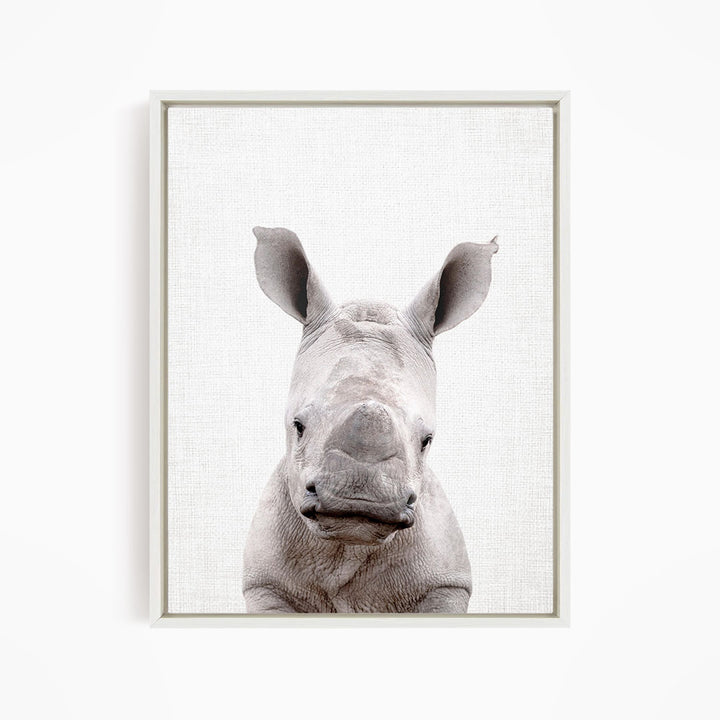 A close-up portrait of a rhinoceros, with its distinctive horn-like features prominently displayed against a plain background.