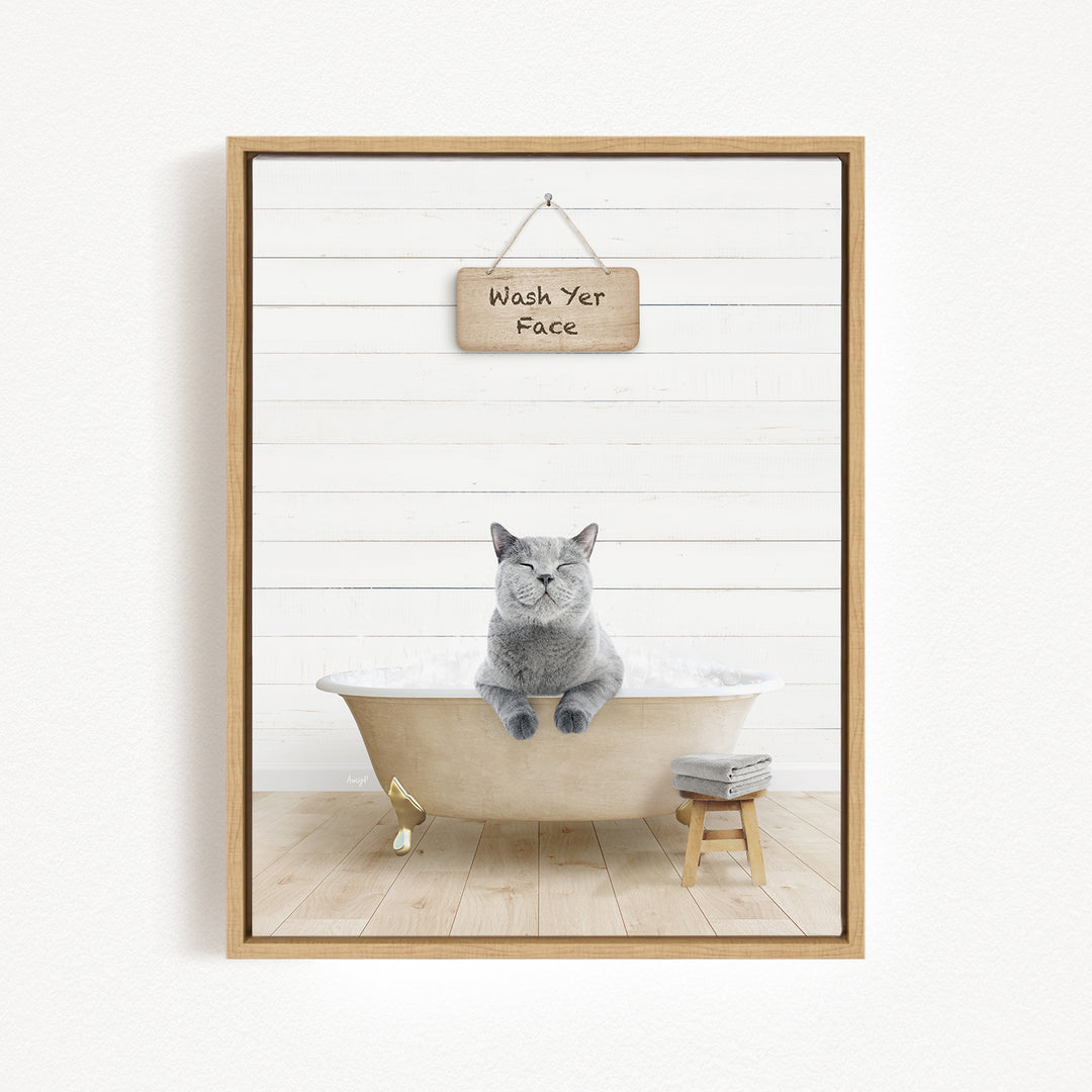A gray cat sitting in a bathtub, with a wooden sign above that says "Wash Your Face".