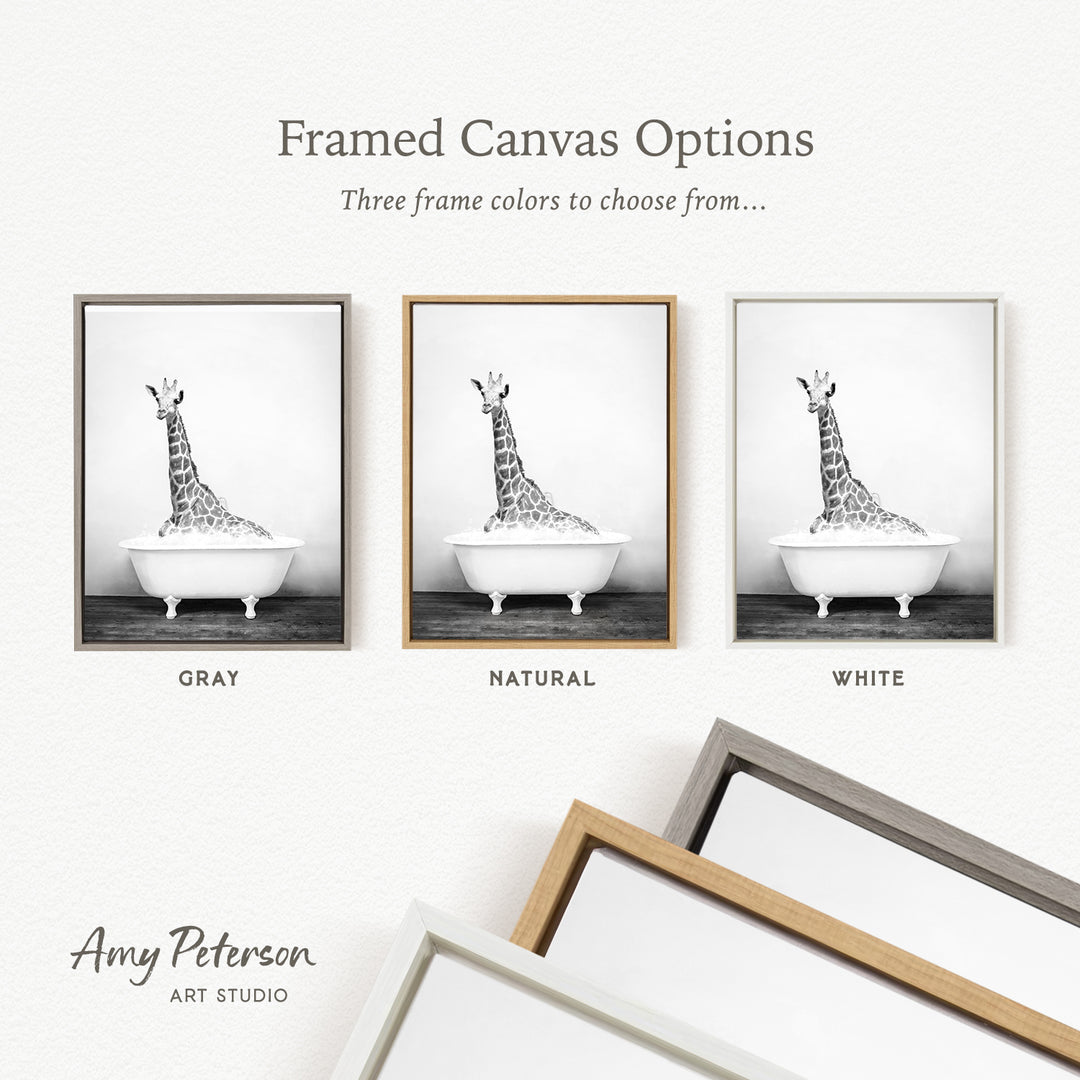three framed canvas options, each featuring a black and white photograph of a giraffe sitting in a bathtub. The options include a gray frame, a natural frame, and a white frame.