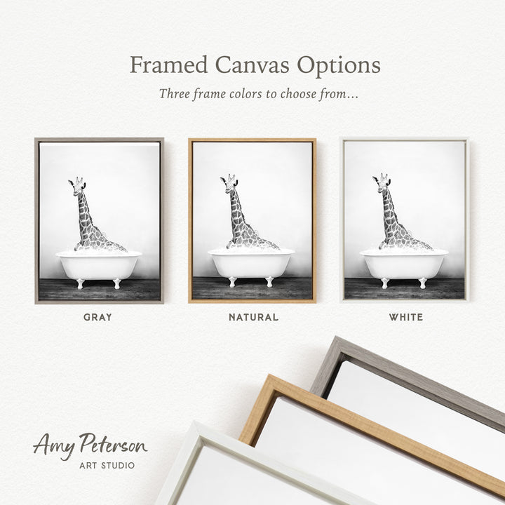 three framed canvas options, each featuring a black and white photograph of a giraffe sitting in a bathtub. The options include a gray frame, a natural frame, and a white frame.