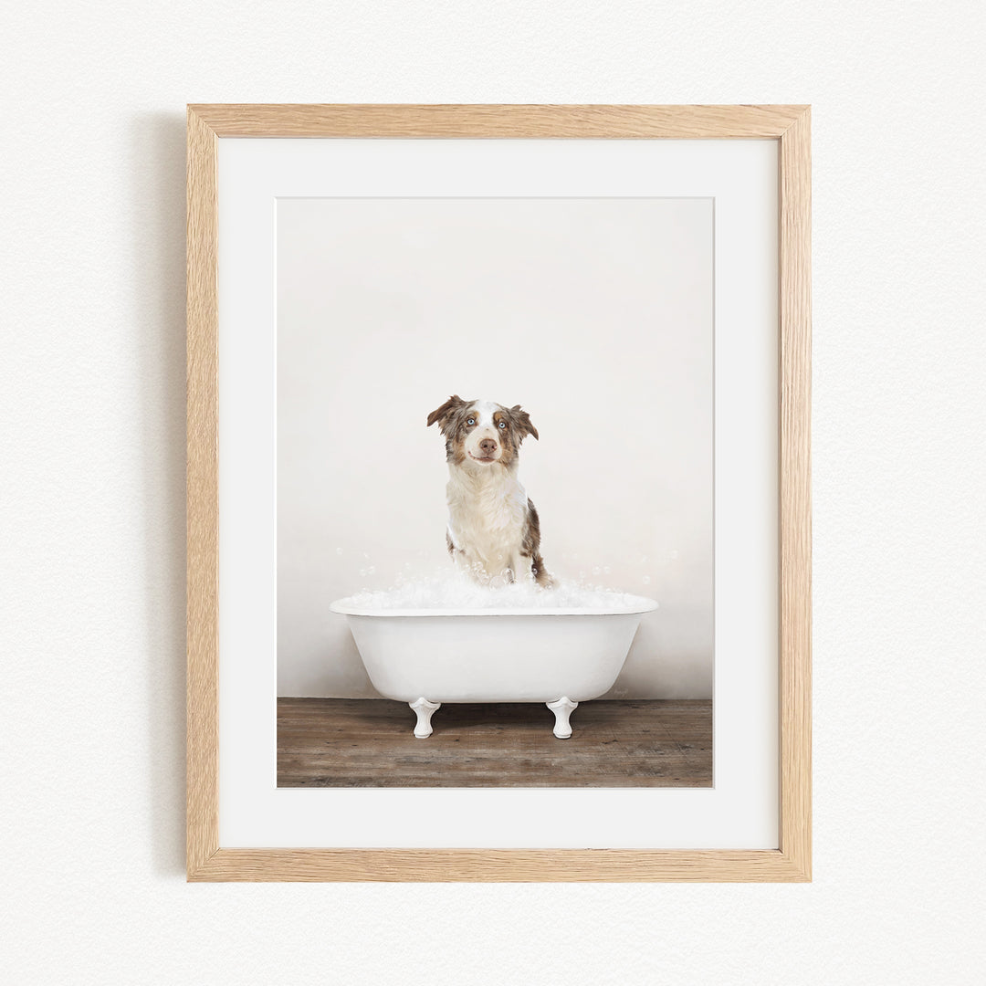 A dog sitting in a white bathtub filled with water, looking directly at the camera.