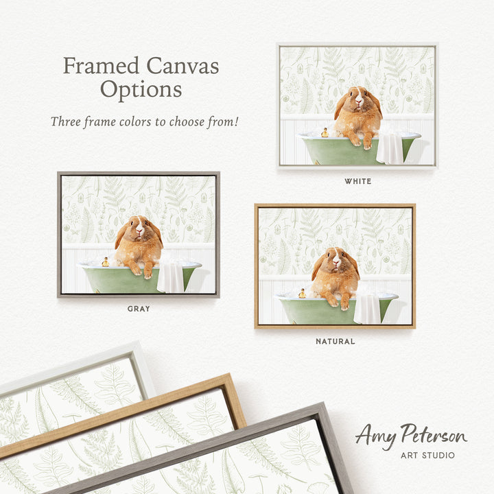 The image is a collage of three framed pictures, each featuring a dog sitting in a bathtub. The frames have different color options, including white, gray, and natural. The text above the images reads " Framed Canvas Options" and below the images, there are descriptions of the frame colors: "Three frame colors to choose from!" and "White", "GRAY", and "NATURAL". The artist's name, Amy Peterson, is also mentioned at the bottom of the image.