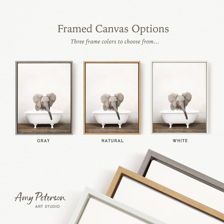 three framed canvas options, each with a different color: gray, natural, and white. The text above the images reads " Framed Canvas Options" and "Three frame colors to choose from...". The text below the images reads "Grays", "Naturals", and "Whites". The artist's name, Amy Peterson, is also mentioned at the bottom of the image.