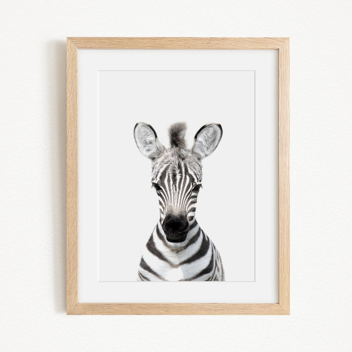 A framed photograph of a zebra's head, with its distinctive black and white striped pattern clearly visible.
