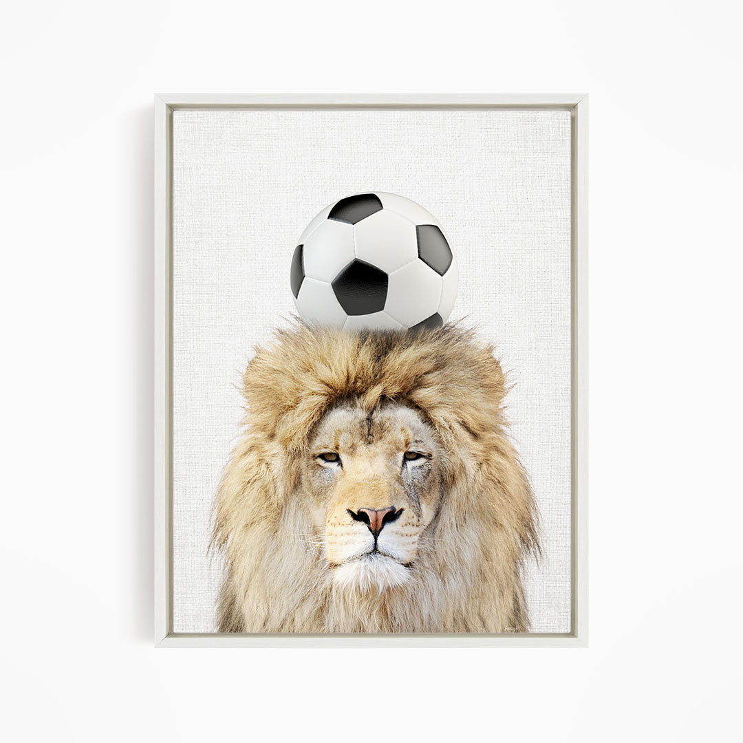 A lion with a soccer ball on its head, looking directly at the camera.