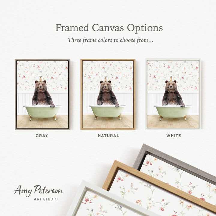 three framed canvas options featuring a bear sitting in a bathtub. The bear is depicted in different color schemes, including gray, natural, and white. The text above the images reads " Framed Canvas Options" and "Three frame colors to choose from...". The bottom of the image includes the text " Amy Peterson ART STUDIO".