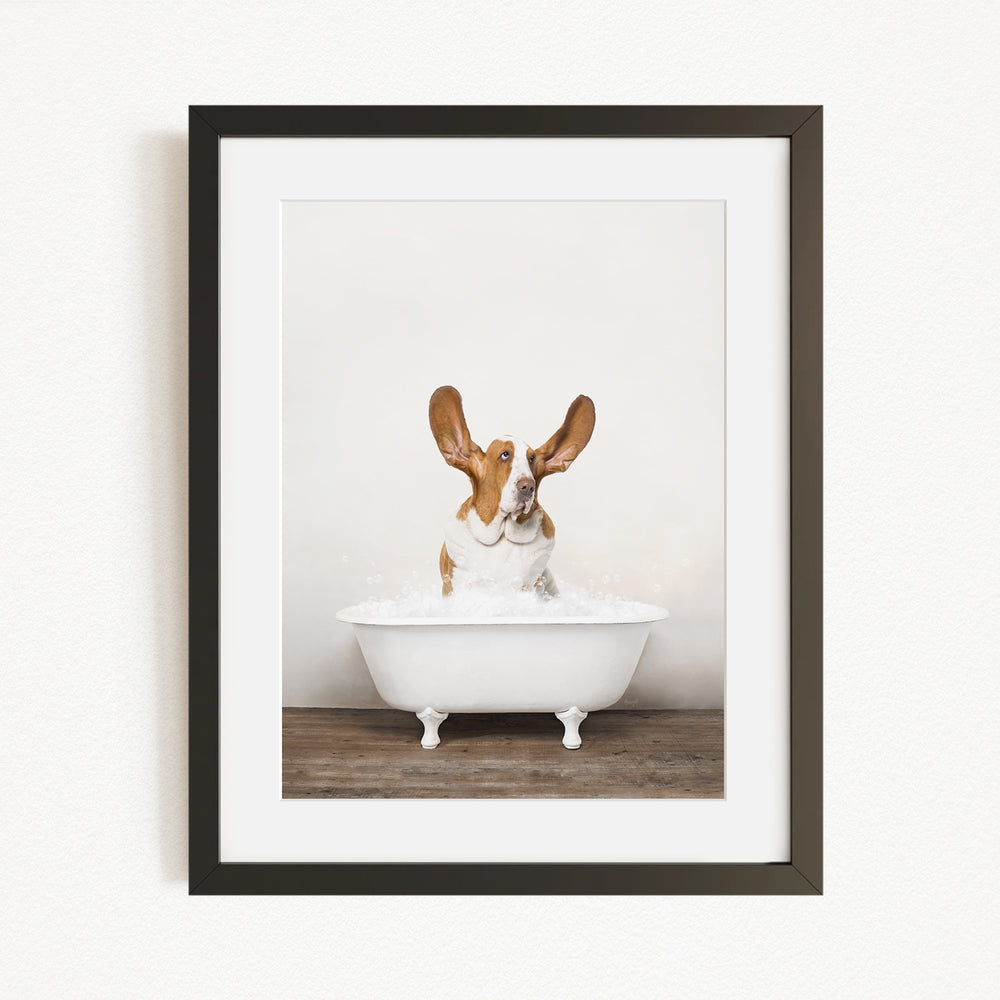 A brown and white dog sitting in a white bathtub, with its head tilted upwards and looking directly at the camera.