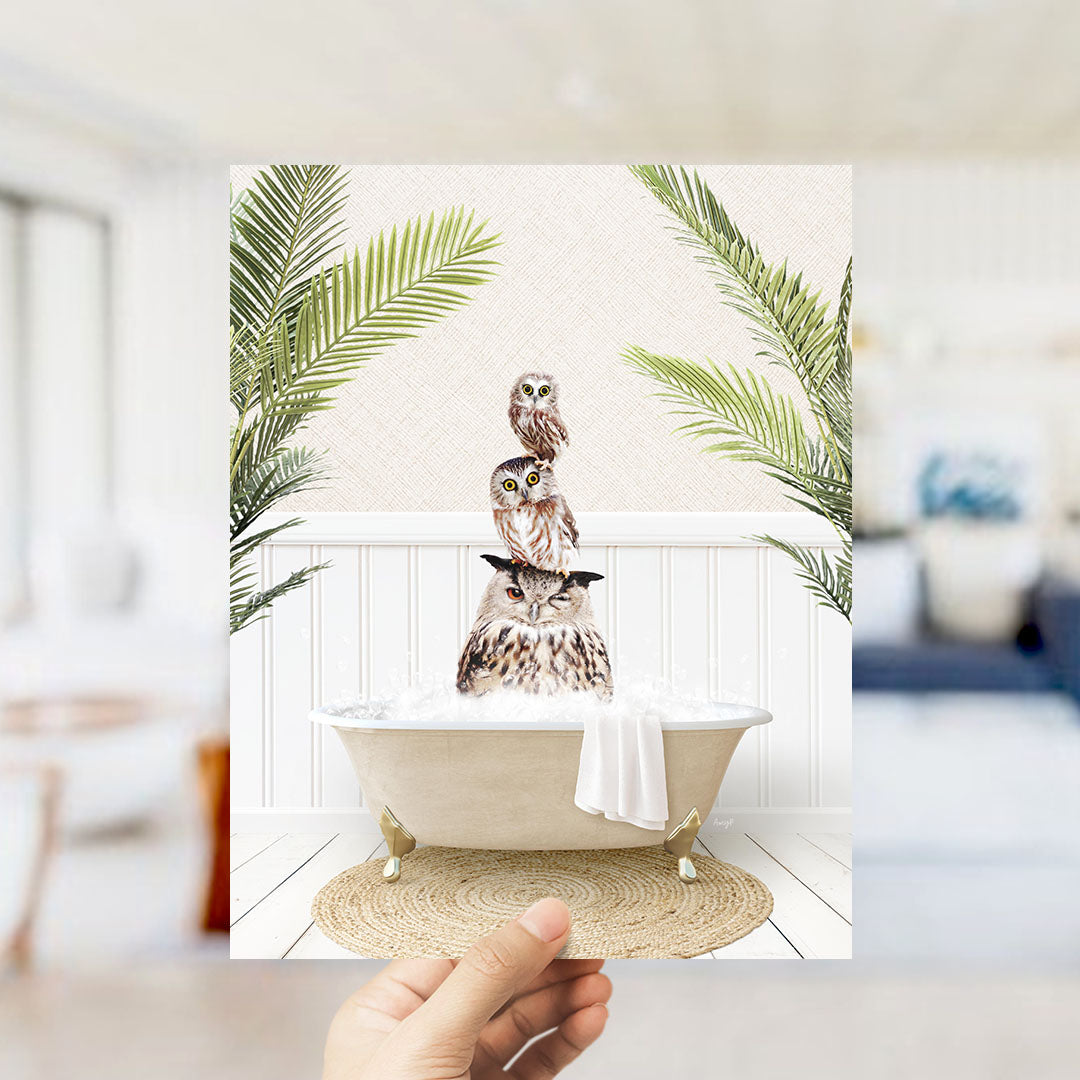 A hand holds up a framed image depicting a bathtub filled with water, with three owls sitting on the rim of the tub.