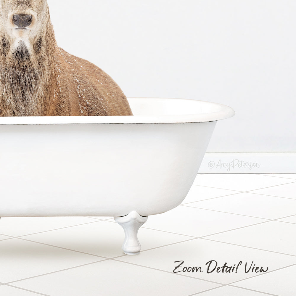 A brown animal, possibly a dog or a cat, is sitting in a white bathtub on a tiled floor.