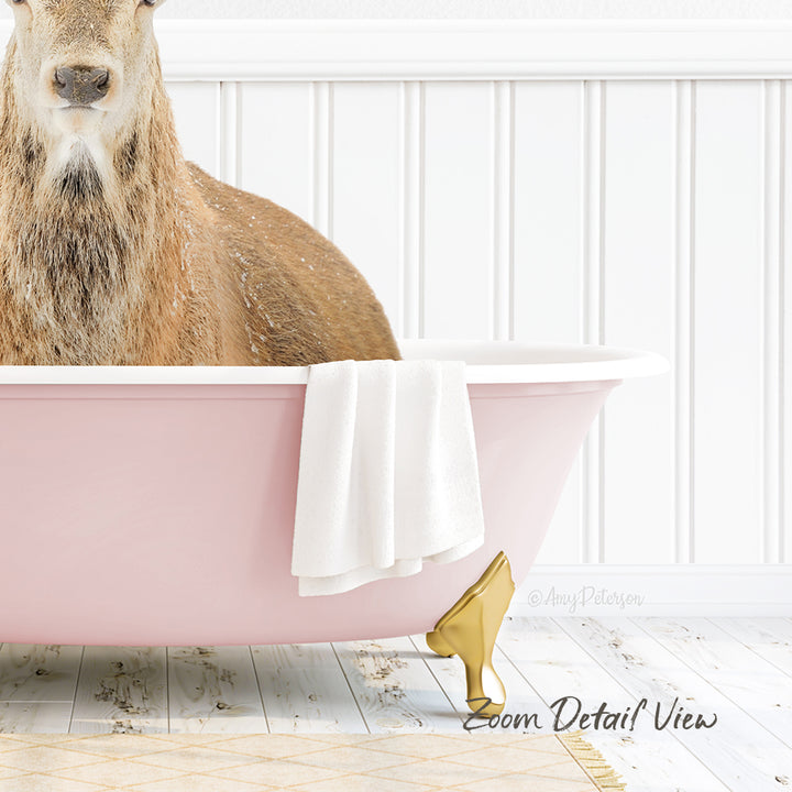 A deer is sitting in a pink bathtub, with a white towel and gold bathtub stopper visible.