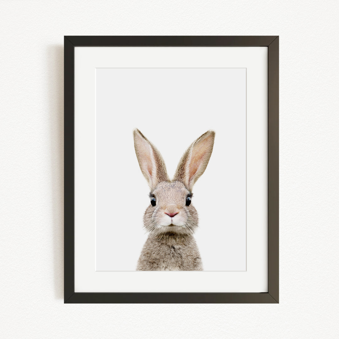 A framed image of a rabbit with large ears and a small nose, looking directly at the camera.