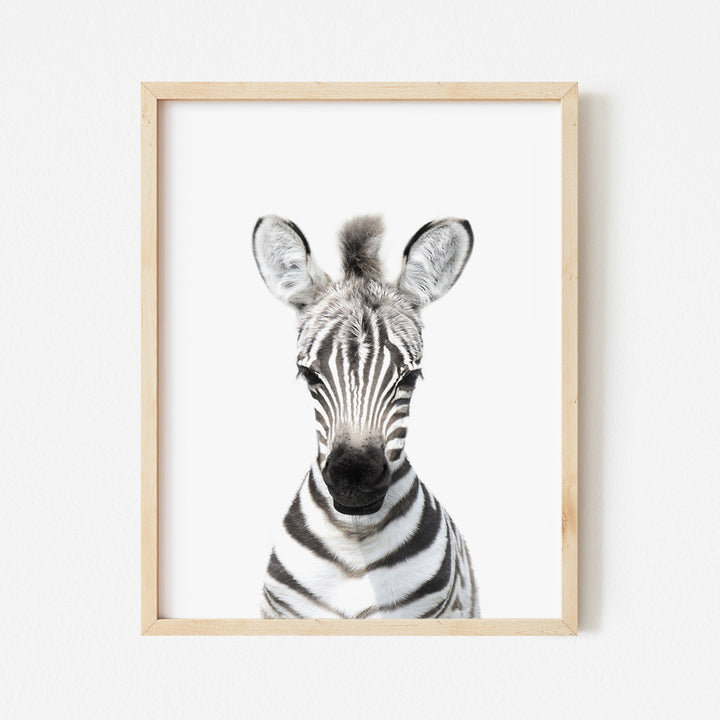 a picture of a zebra in a wooden frame