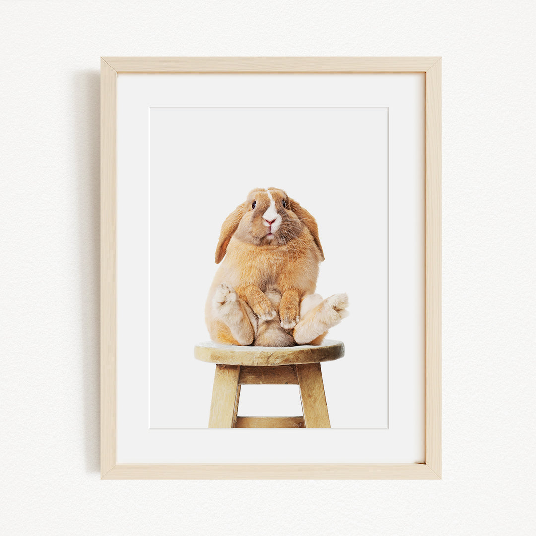 A light brown rabbit sitting on a wooden stool, looking up with a curious expression.