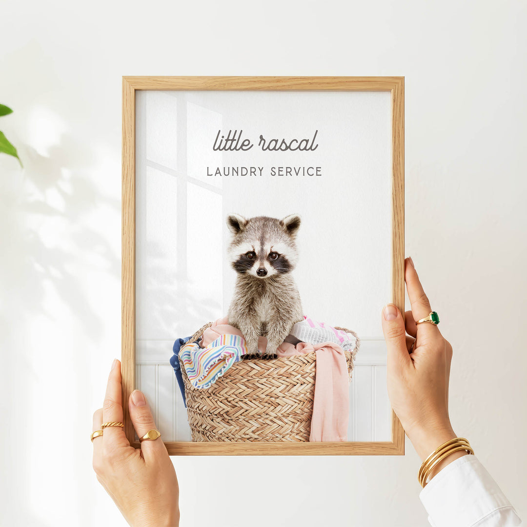 A person is holding a framed picture of a raccoon sitting in a laundry basket, with the text "Little raccal Laundry Service" displayed on the frame.