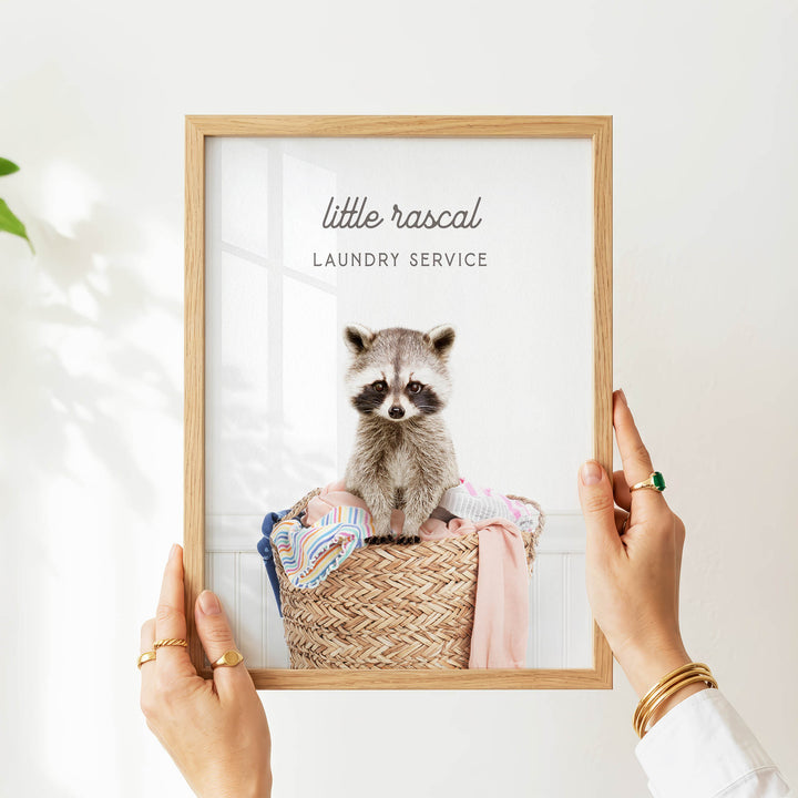 A person is holding a framed picture of a raccoon sitting in a laundry basket, with the text "Little raccal Laundry Service" displayed on the frame.