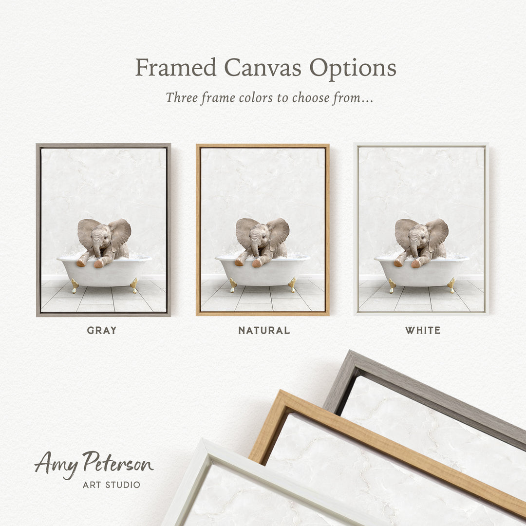 three framed canvas options, each featuring a different color: gray, natural, and white. The text above the images reads " framed Canvas Options" and "Three frame colors to choose from...". The bottom of the image includes the text " Amy Peterson ART STUDIO".